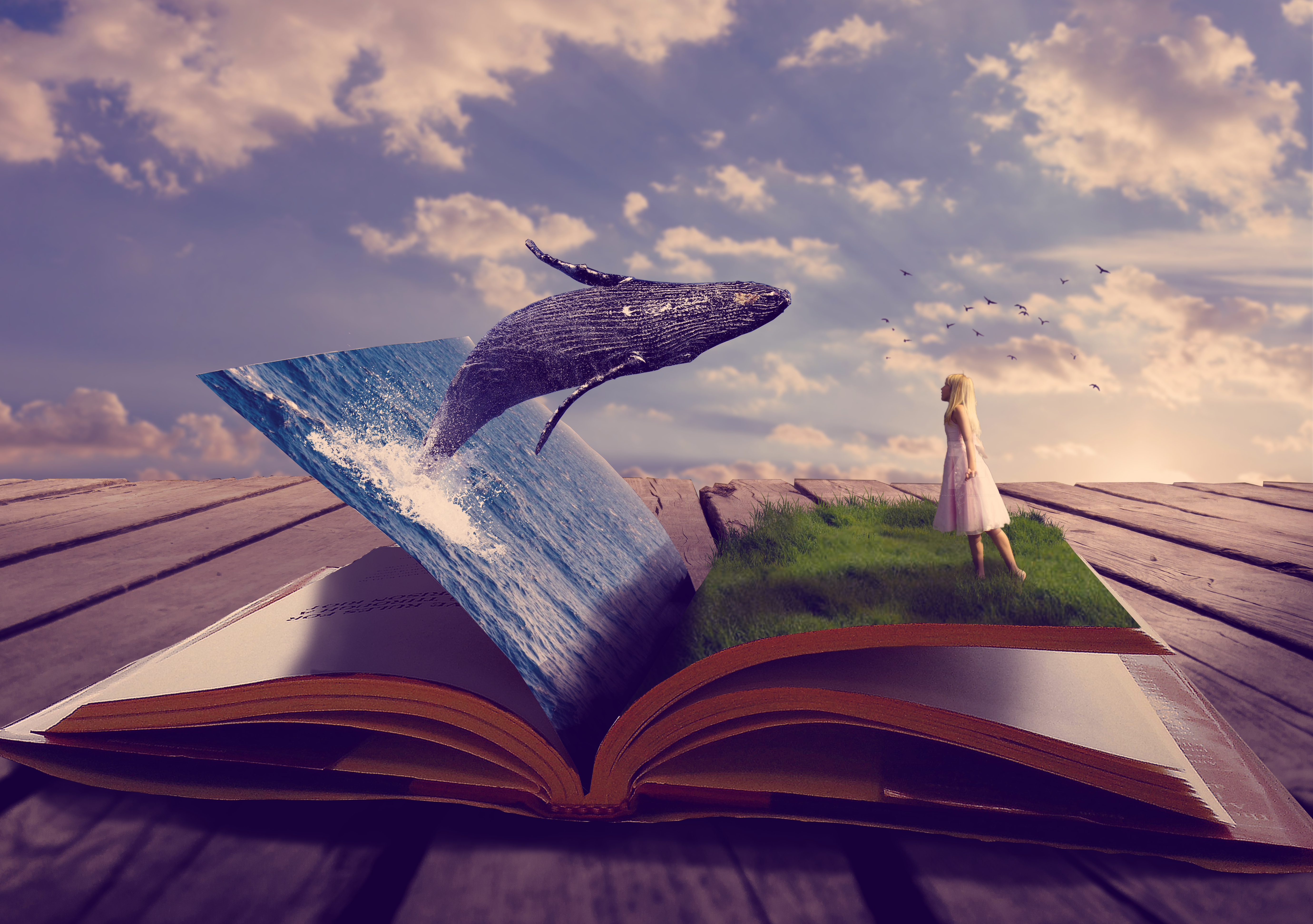 book design